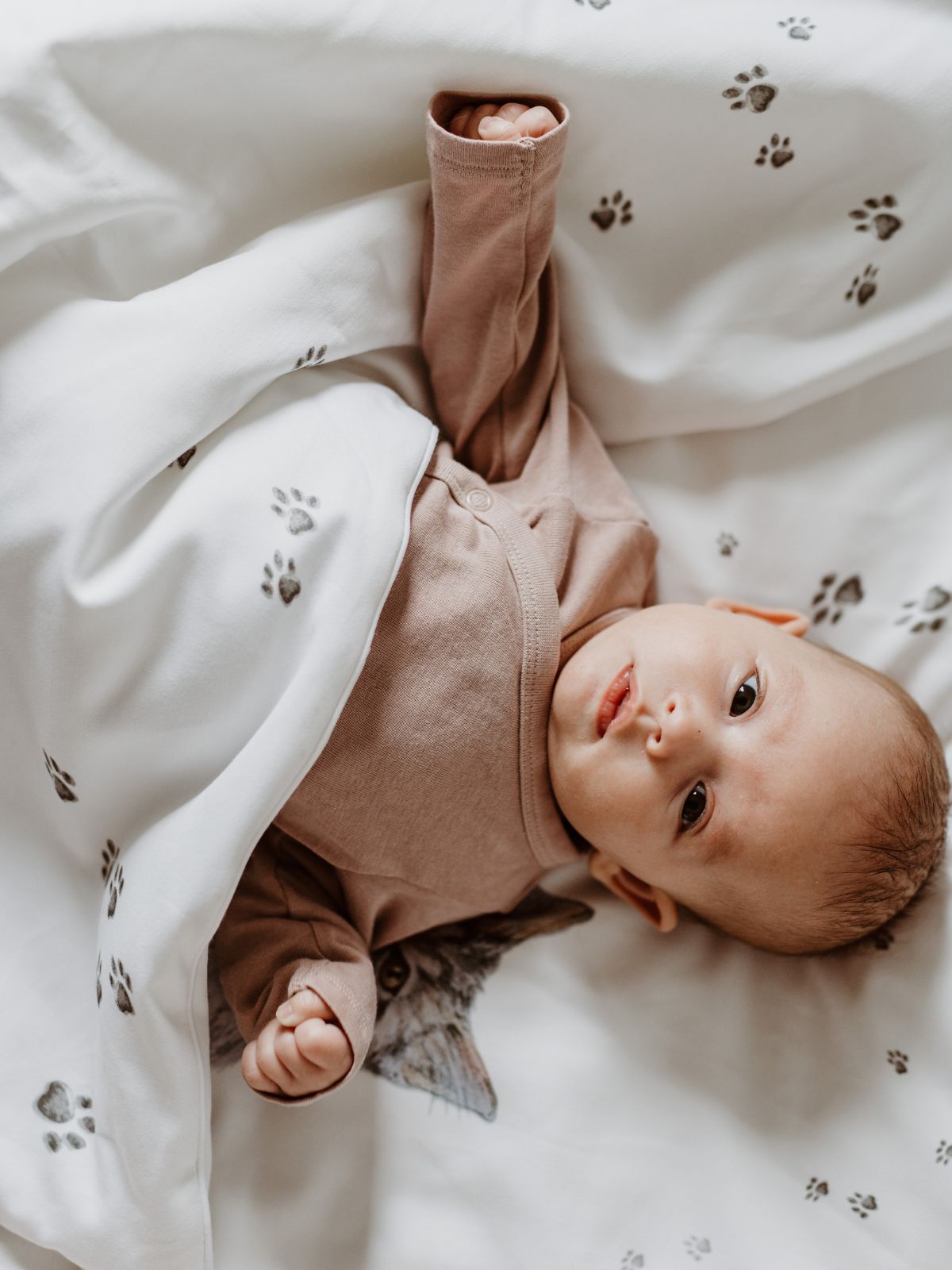 Bedding Set 3 Pieces Puss In Boots