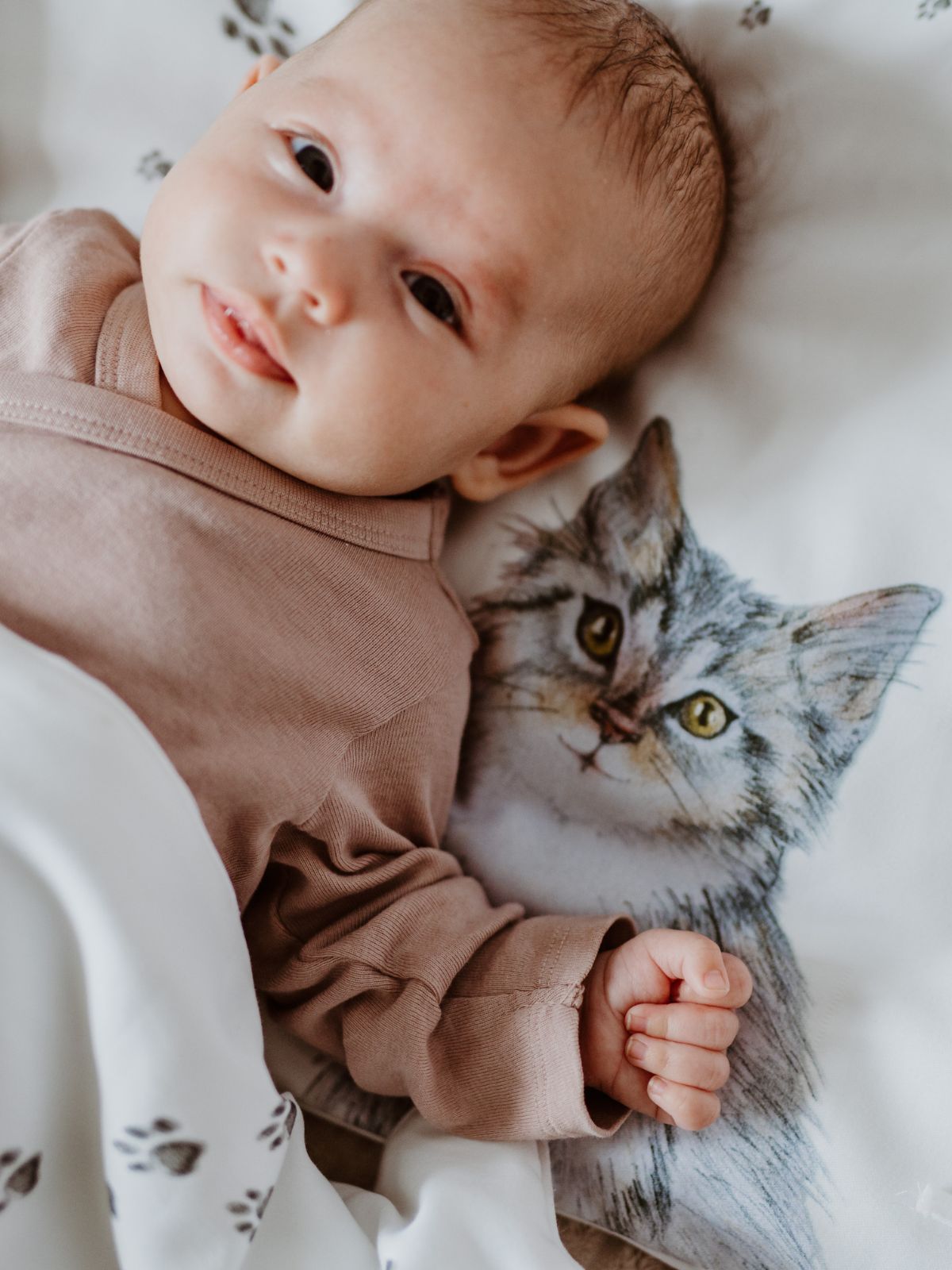 Bedding Set 3 Pieces Puss In Boots