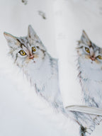 Bedding Set 3 Pieces Puss In Boots